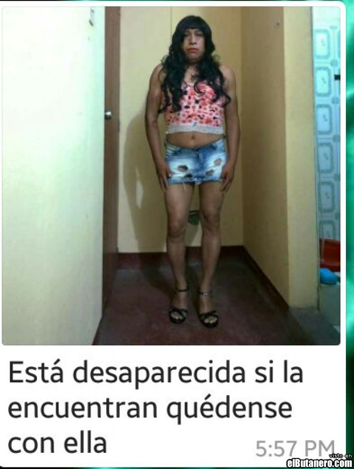 Se busca