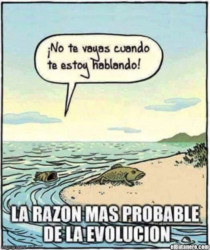 La causa de la evolución