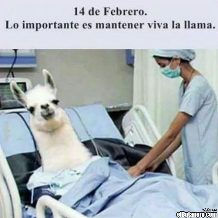 Mantener la llama viva