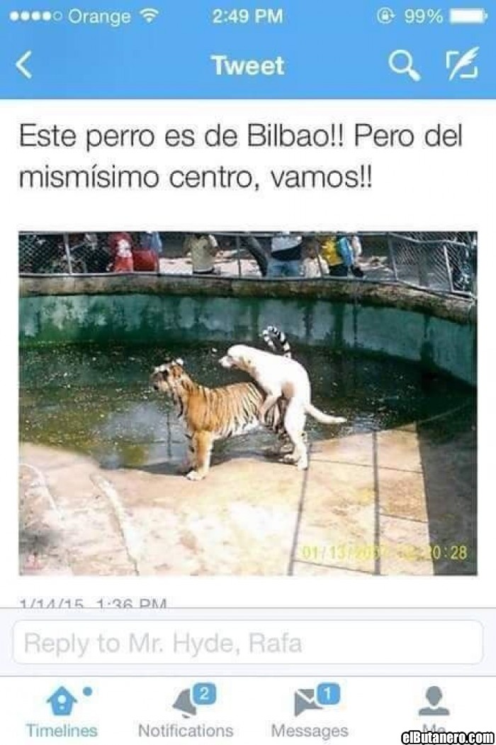 Perro de Bilbao