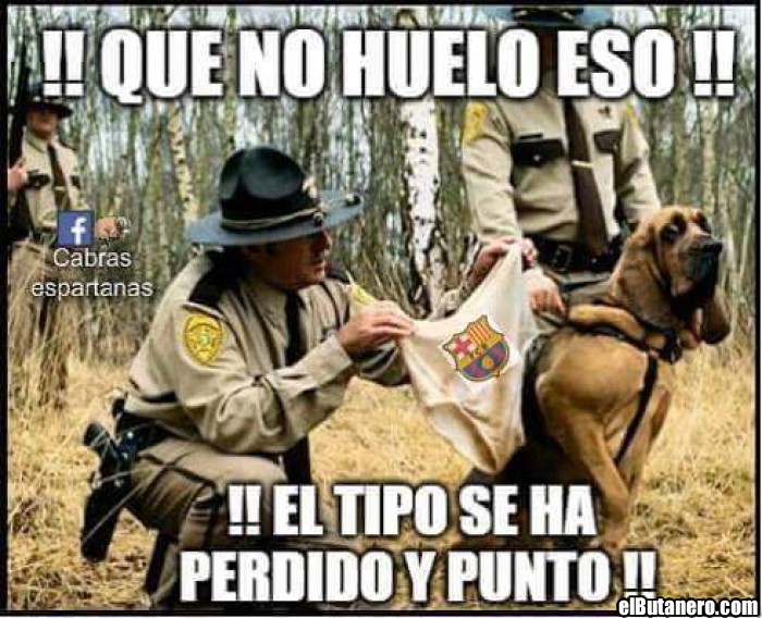 Perro poco sabueso