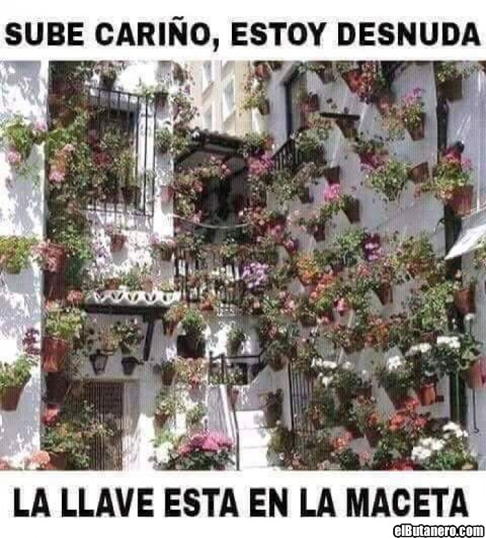 Aquí te espero cariño