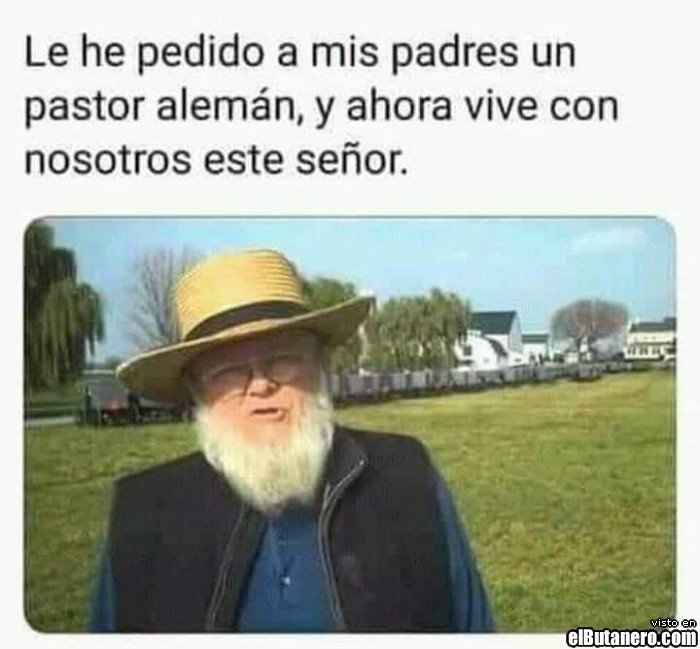 Pastor aleman