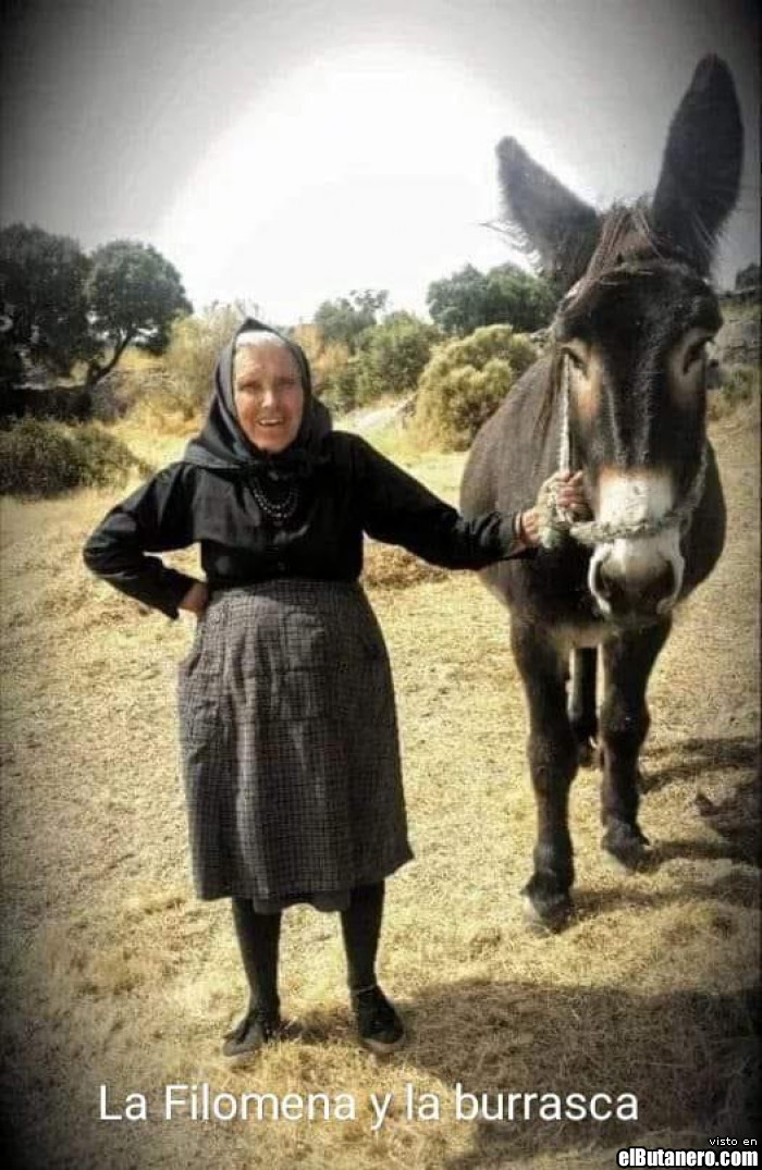 La Filomena y la burrasca