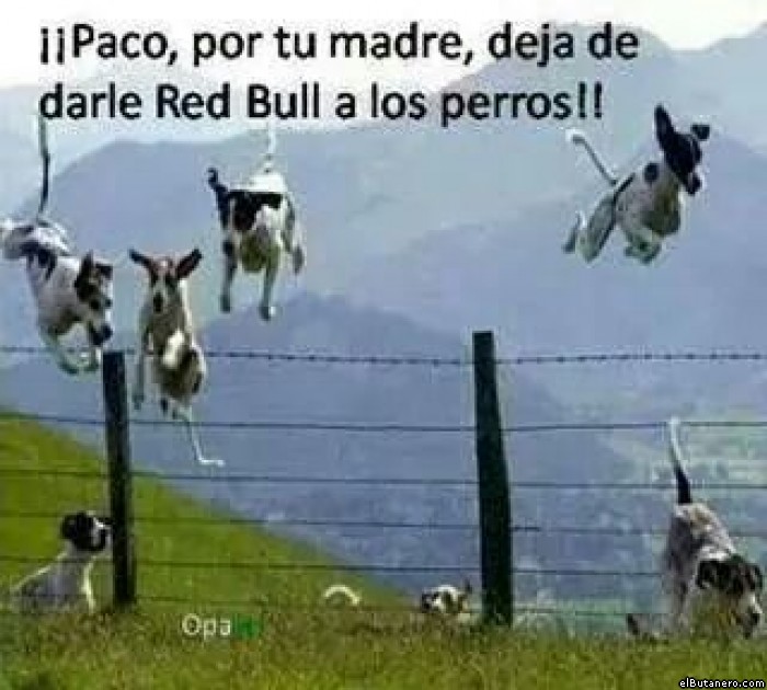 Redbull te da alas