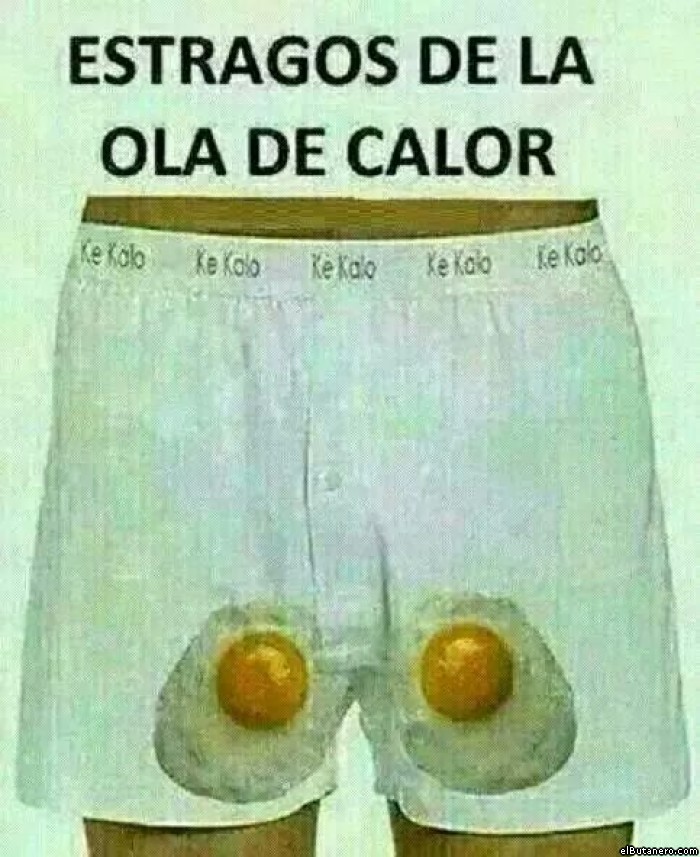 Ola de calor