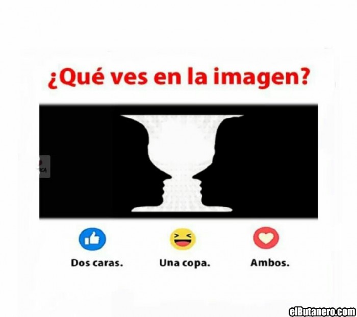 ¿Qué ves en la imagen?