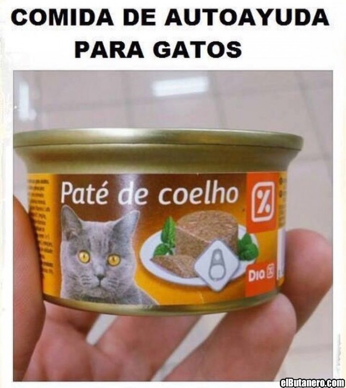 Autoayuda para gatos