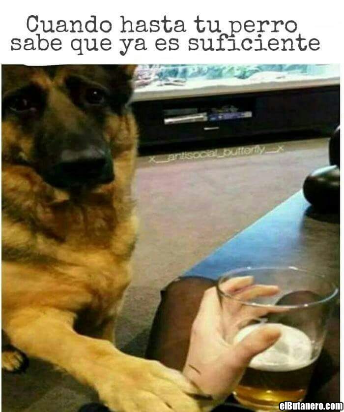 Un buen amigo