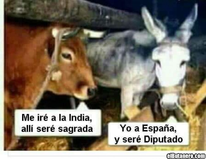 La vaca al burro