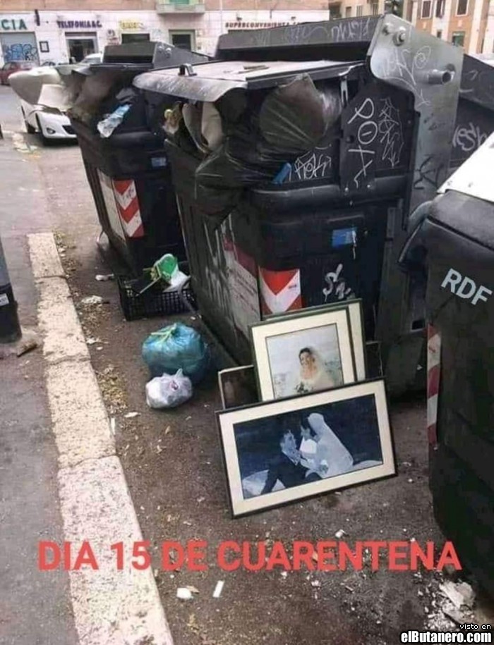 Día 15 de cuarentena