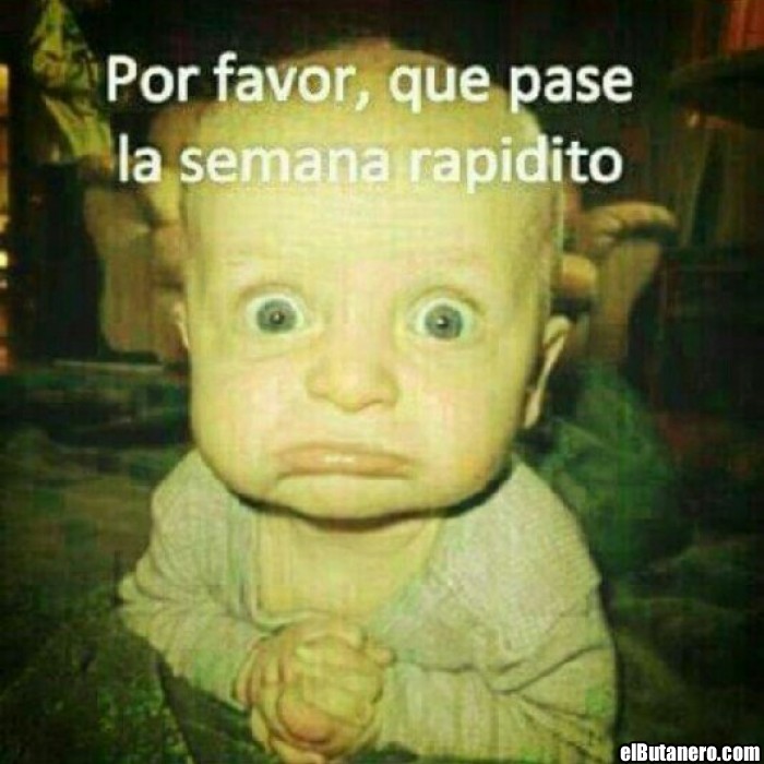 Por favor!