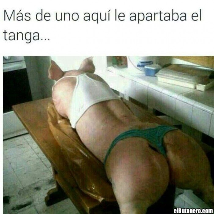 Cerdo con tanga