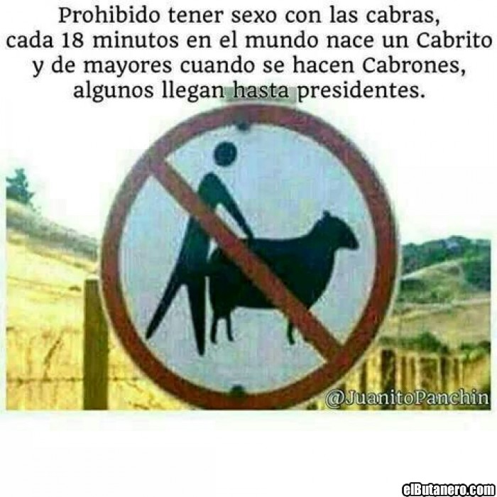 Cabras y cabritos