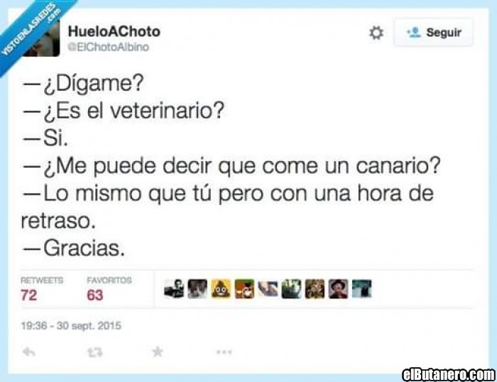 En el veterinario